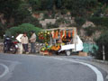 route d'Amalfi, citroniers