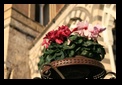 amalfi cathedral