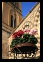 amalfi cathedral