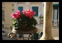 amalfi cathedral