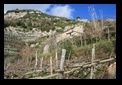 balad amalfi coast