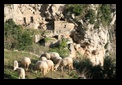 balad amalfi coast