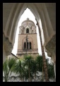 duomo san andrea - amalfi